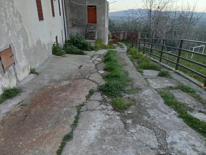 Petronà, la protesta dei cittadini di frazione Arietta: "Spazi pubblici abbandonati" images Petronà, la protesta dei cittadini di frazione Arietta: "Spazi pubblici abbandonati"