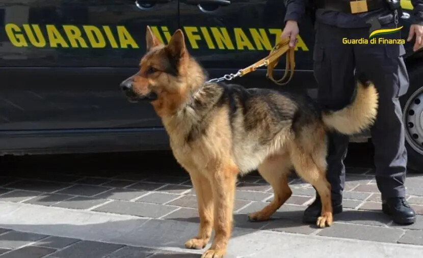 In auto con 5 chili di cocaina, un arresto nel Cosentino images In auto con 5 chili di cocaina, un arresto nel Cosentino