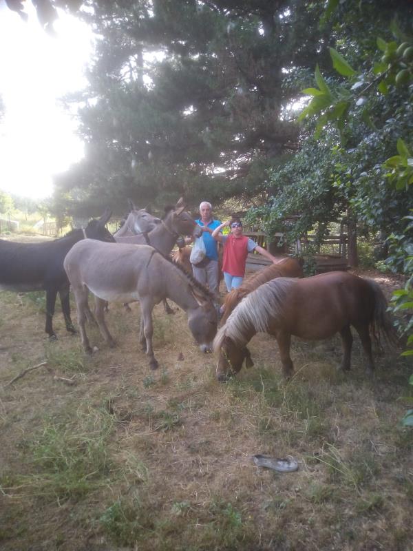 Alla scoperta di flora e fauna dell’altopiano silano a dorso d'asino images Alla scoperta di flora e fauna dell’altopiano silano a dorso d'asino