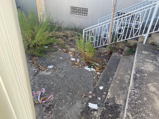 Erbacce, feci, animali morti: la vergogna dell'esterno dell'aula bunker di Catanzaro  images Erbacce, feci, animali morti: la vergogna dell'esterno dell'aula bunker di Catanzaro