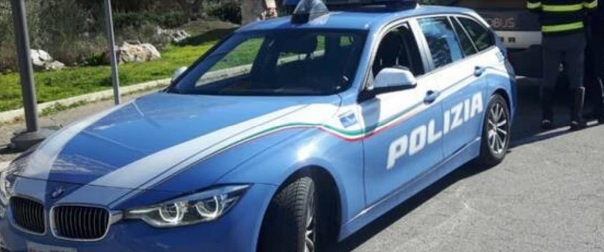 La Polizia stradale di Catanzaro salva tre cani che vagavano in autostrada images La Polizia stradale di Catanzaro salva tre cani che vagavano in autostrada