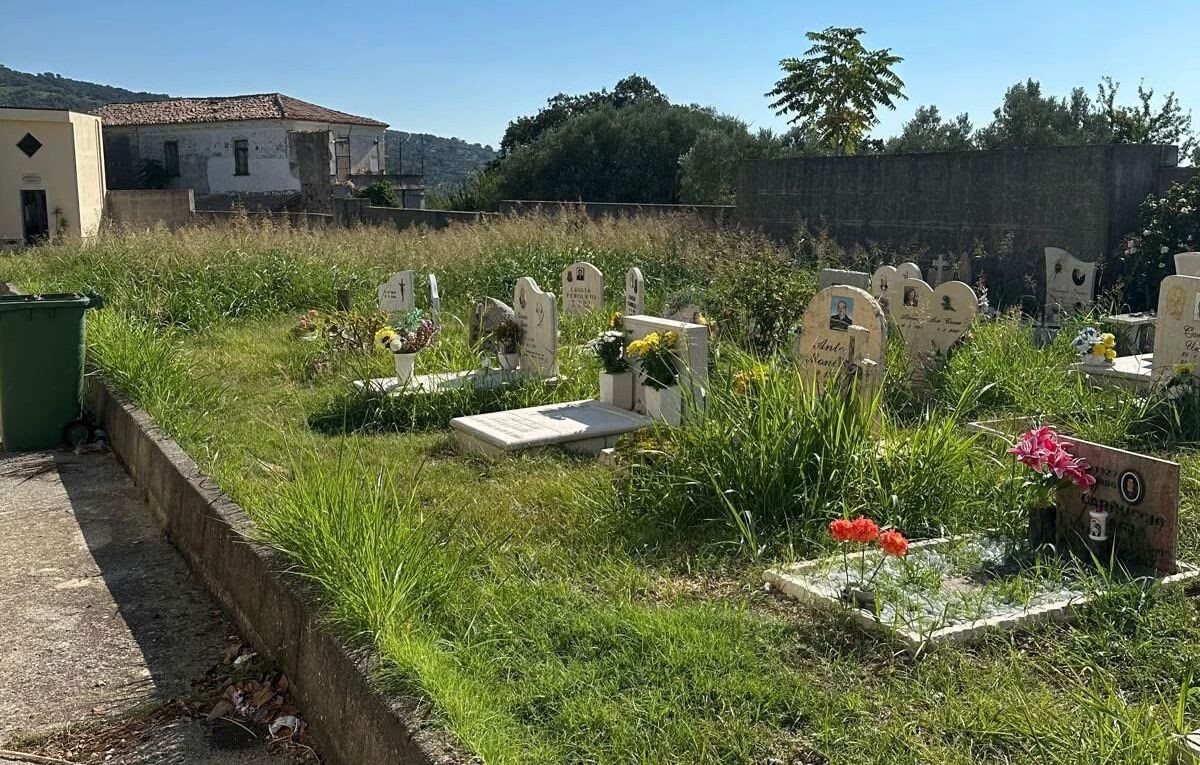 Erba alta tra le tombe, l’incuria segnalata al cimitero di Catanzaro images Erba alta tra le tombe, l’incuria segnalata al cimitero di Catanzaro
