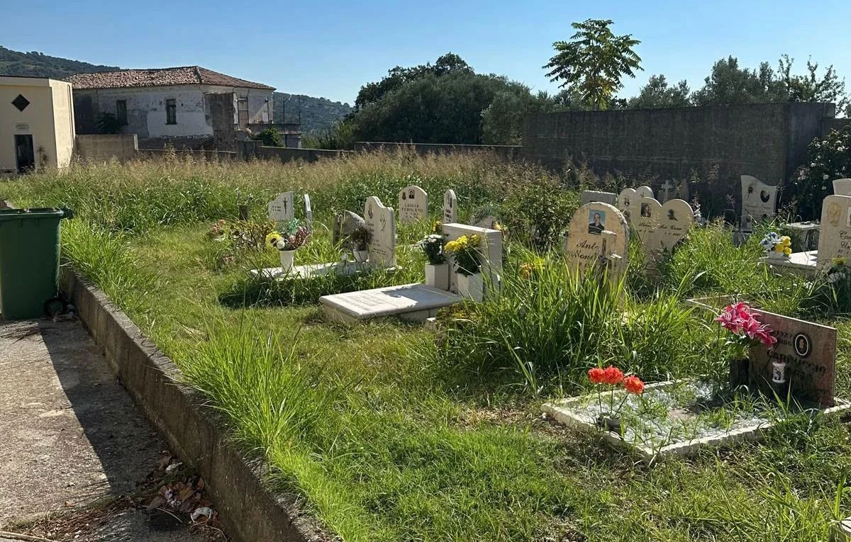 Erba alta tra le tombe, l’incuria segnalata al cimitero di Catanzaro