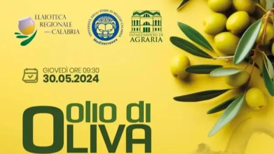 images Olio d'oliva, elisir di lunga vita: all'UniRc l'evento del Dipartimento di Agraria