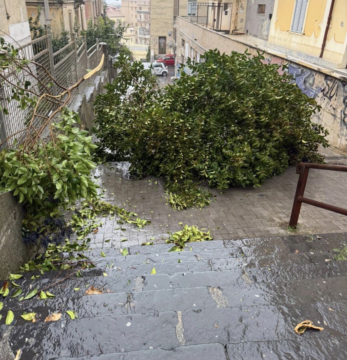 images Emergenza maltempo a Catanzaro, scuole e impianti sportivi chiusi domani a Lido (L'ELENCO)