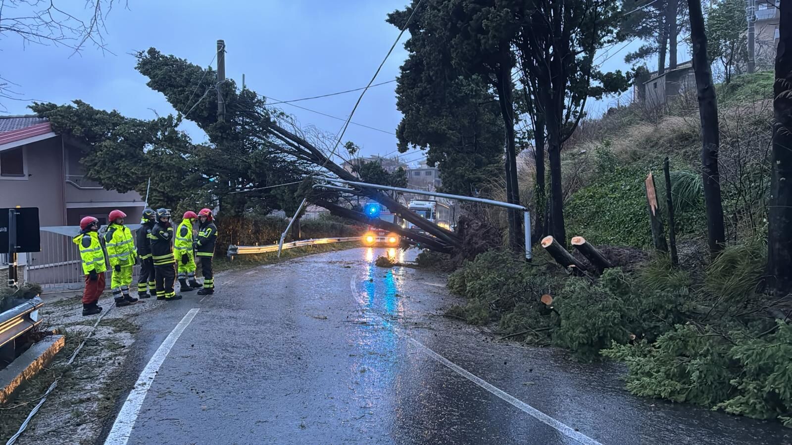 images Allerta meteo nel Catanzarese, paura a Tiriolo: cadono alberi e lampioni