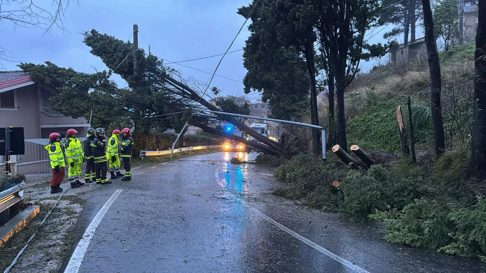 Allerta meteo nel Catanzarese, paura a Tiriolo: cadono alberi e lampioni