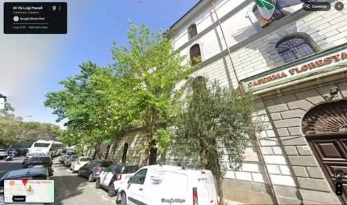 OPAT Osservatorio Permanente Ambiente e Territorio denuncia: "Dodici alberi tagliati a Catanzaro"