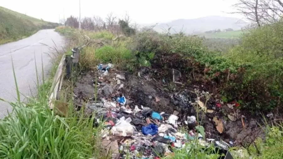 Catanzaro, emergenza rifiuti speciali in via Molè: un pericolo ignorato per l'igiene pubblica images Catanzaro, emergenza rifiuti speciali in via Molè: un pericolo ignorato per l'igiene pubblica