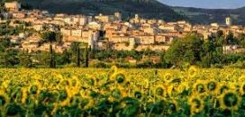 images Calabria, torna il Premio "Piccolo Comune amico" realizzato dal Codacons