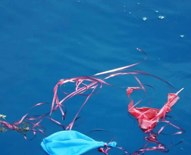 Festa Madonna di Porto Salvo, OPAT: "No ai palloncini in mare" 
