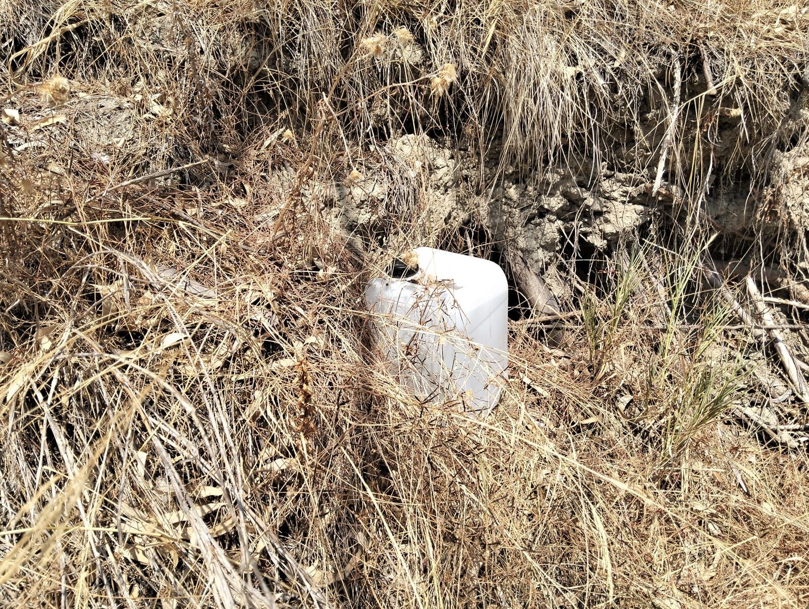 images L’OPAT lancia l’allarme: tanica di liquido infiammabile rinvenuta nell’Oasi di Scolacium