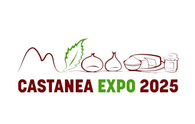Castanea Expo 2025, la Regione a Firenze con una collettiva di 13 aziende