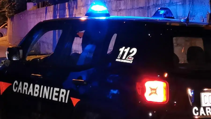 images Trovato materiale d’armamento ed una carabina: una denuncia nel Reggino 