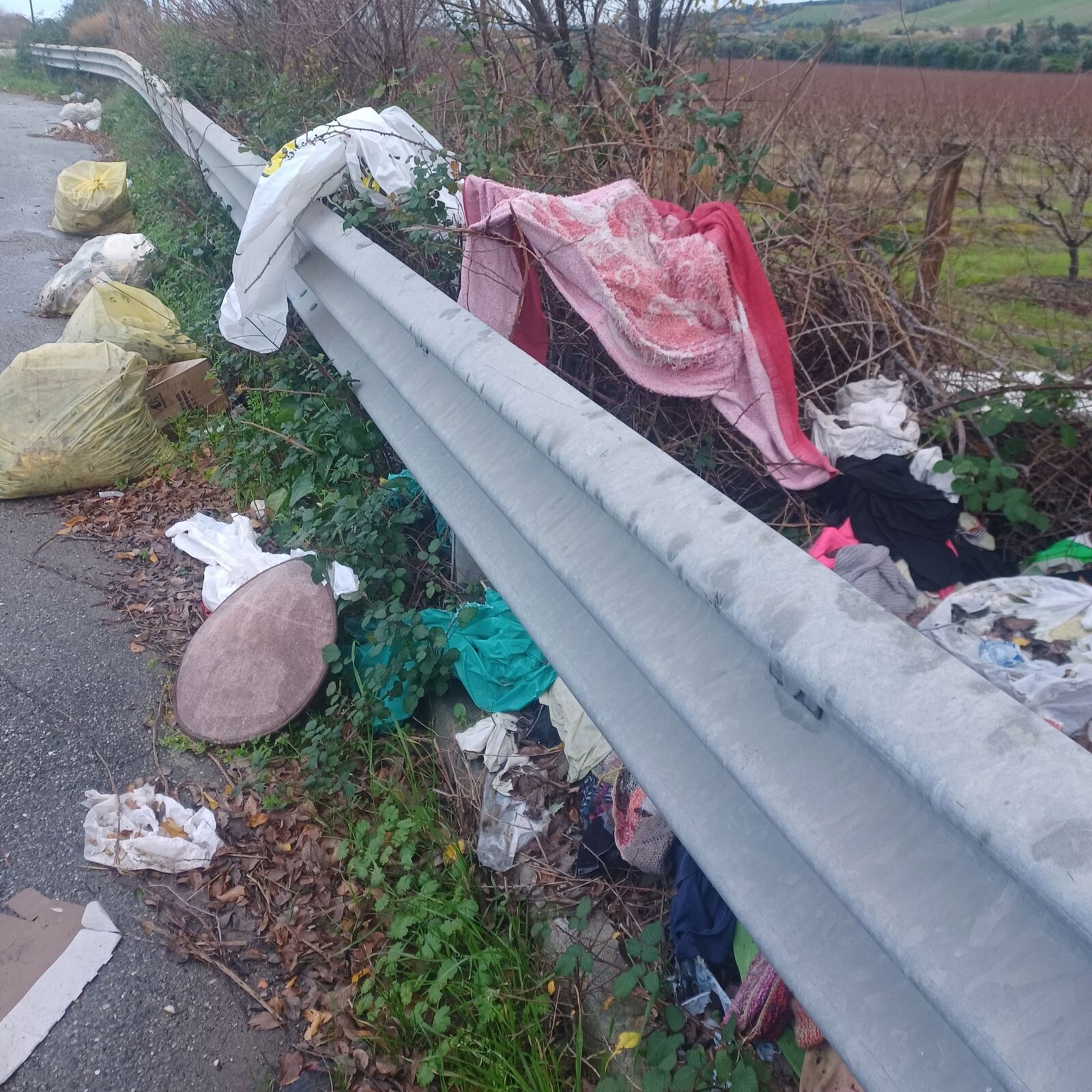 images Rischio incidenti per i rifiuti al bordo di una strada di Catanzaro, la denuncia di Guardia Agroforestale Italiana 