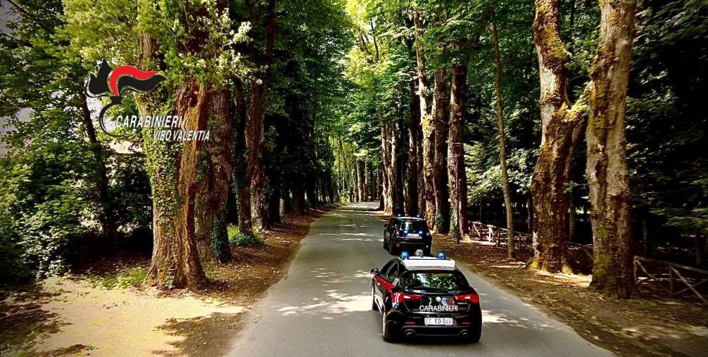 Serra San Bruno. Fallisce il rave in località “Lu Bellu”: arresti e sequestri per droga  images Serra San Bruno. Fallisce il rave in località “Lu Bellu”: arresti e sequestri per droga