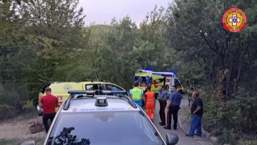 Colto da malore mentre raccoglie funghi nel Cosentino, salvato dal Soccorso alpino images Colto da malore mentre raccoglie funghi nel Cosentino, salvato dal Soccorso alpino
