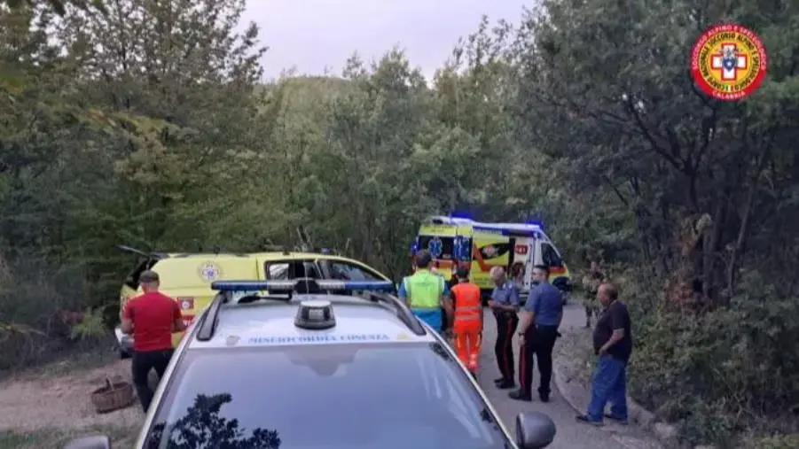 Colto da malore mentre raccoglie funghi nel Cosentino, salvato dal Soccorso alpino  images Colto da malore mentre raccoglie funghi nel Cosentino, salvato dal Soccorso alpino