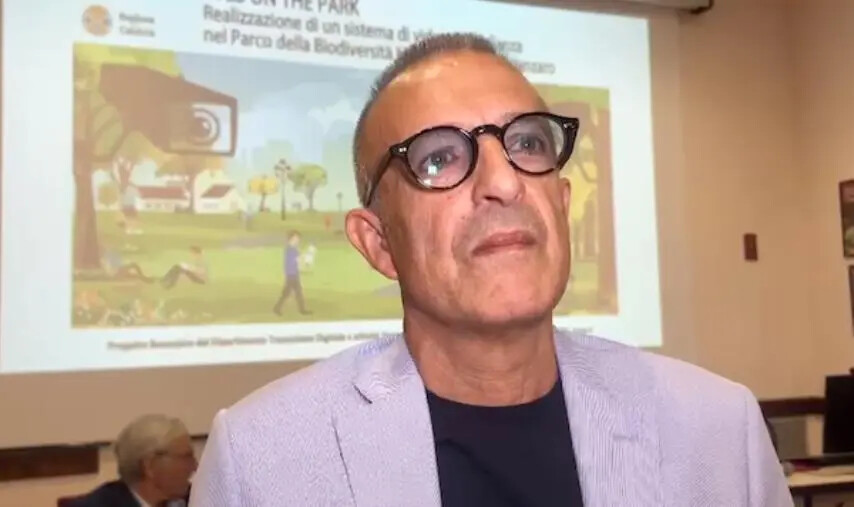 images Mormile nuovo commissario della Lega per la provincia di Catanzaro: "Svolgerà incarico con massimo impegno"