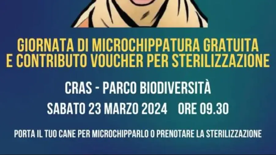 Sabato a Catanzaro la "Giornata di microchippatura e contributo per la sterilizzazione" images Sabato a Catanzaro la "Giornata di microchippatura e contributo per la sterilizzazione"