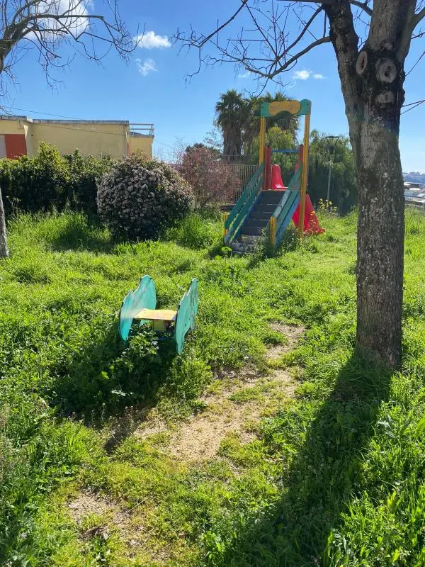 Costa (Lega): “A Mater Domini una foresta al posto dell’area giochi” images Costa (Lega): “A Mater Domini una foresta al posto dell’area giochi”