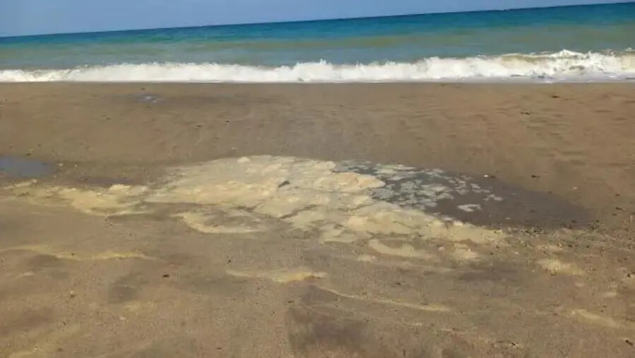 images Massimiliano Lepera: “La particolare situazione delle acque del nostro mare”