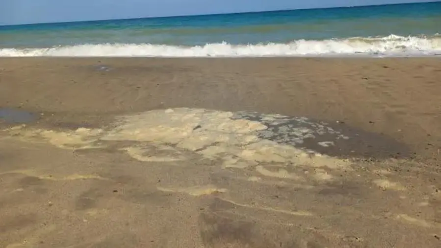 Massimiliano Lepera: “La particolare situazione delle acque del nostro mare” images Massimiliano Lepera: “La particolare situazione delle acque del nostro mare”