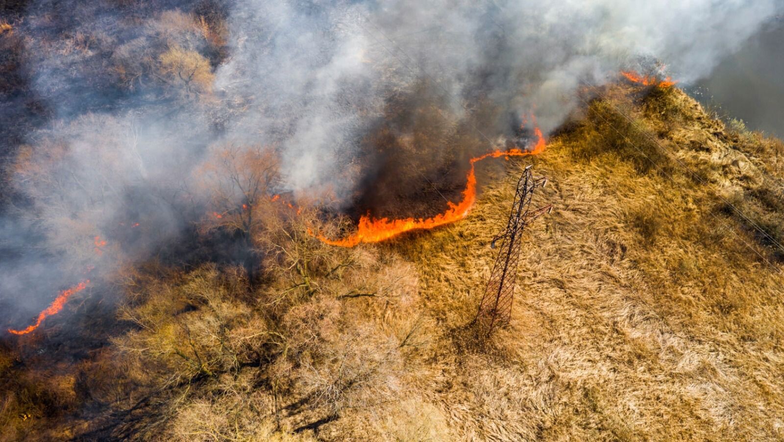 Calabria in fumo, Legambiente Calabria: "Non è un'emergenza ma una crisi strutturale. Servono prevenzione, controlli e una strategia per i boschi" images Calabria in fumo, Legambiente Calabria: "Non è un'emergenza ma una crisi strutturale. Servono prevenzione, controlli e una strategia per i boschi"
