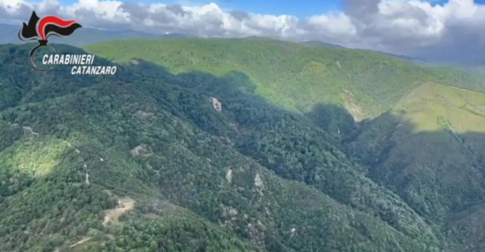 Blitz antidroga a Lamezia: il ruolo dei 2 carabinieri coinvolti (VIDEO) images Blitz antidroga a Lamezia: il ruolo dei 2 carabinieri coinvolti (VIDEO)