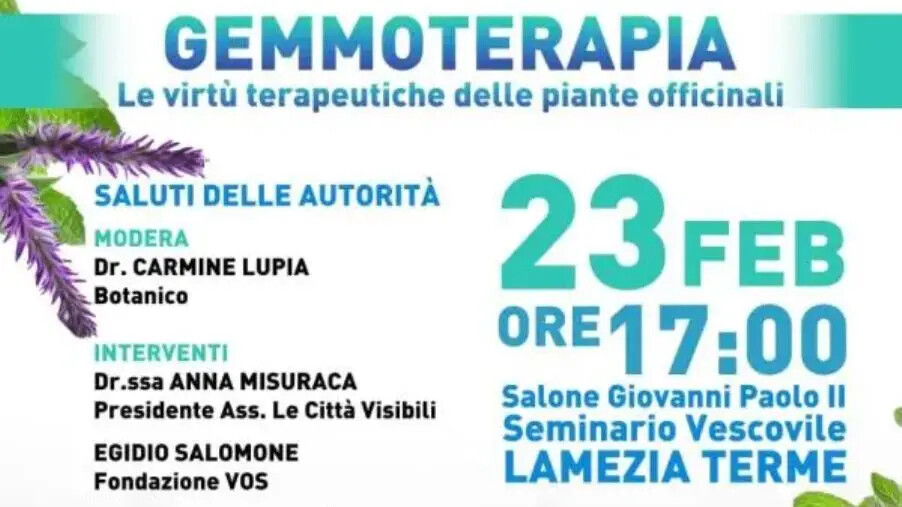 images Le virtù terapeutiche delle piante officinali: a Lamezia un incontro sulla Gemmoterapia