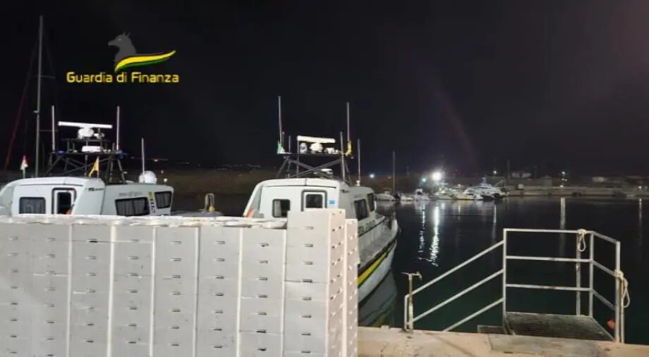 images Vibo Valentia: maxi sequestro di 2 tonnellate di novellame di sarda 