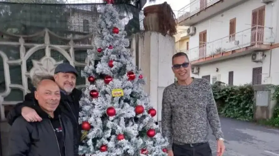 images Catanzaro, il Comitato “Sala-Campagnella Bene Comune” illumina il quartiere con due alberi di Natale
