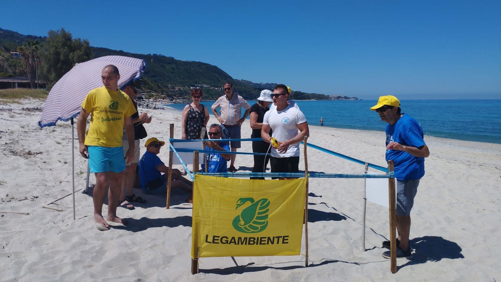 Trovati a Santa Domenica e Parghelia i primi nidi di tartaruga marina della stagione images Trovati a Santa Domenica e Parghelia i primi nidi di tartaruga marina della stagione