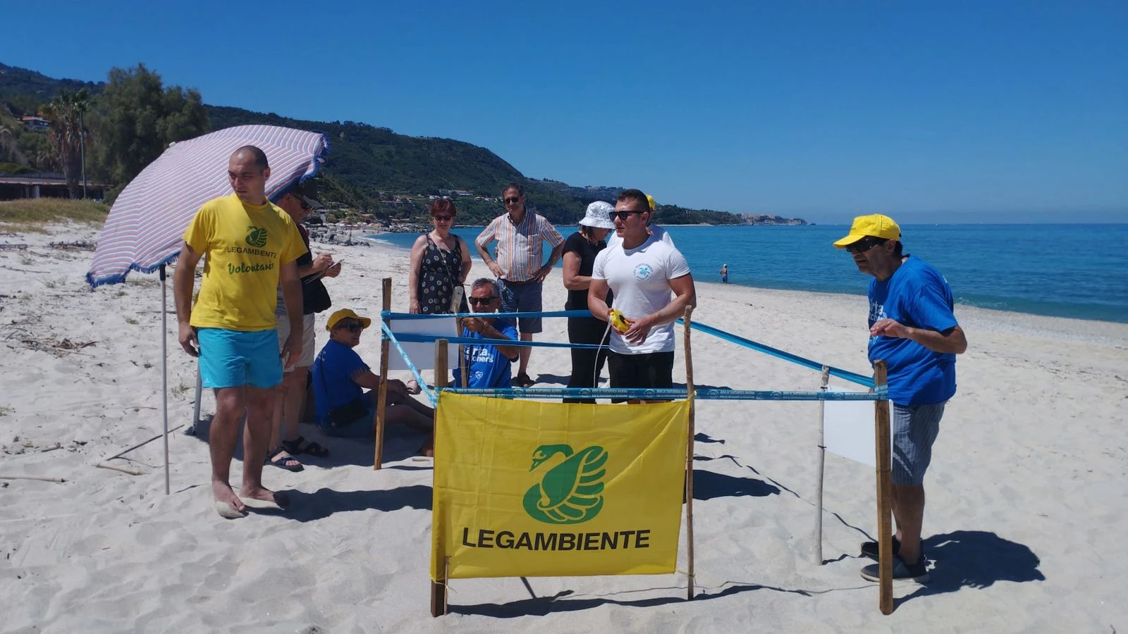 Trovati a Santa Domenica e Parghelia i primi nidi di tartaruga marina della stagione