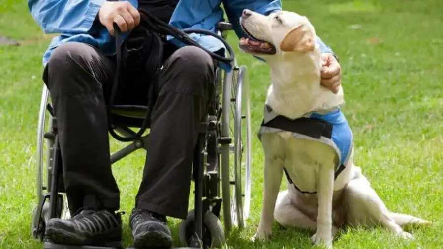 Lettera a Tito, forse avremmo pace e amore se imparassimo la tenerezza dai bambini e dagli animali images Lettera a Tito, forse avremmo pace e amore se imparassimo la tenerezza dai bambini e dagli animali