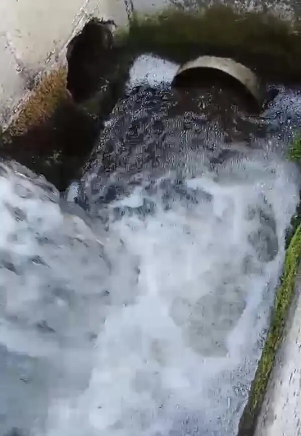 images Vibo Valentia, depurazione a Bivona: parametri rientrati nella norma