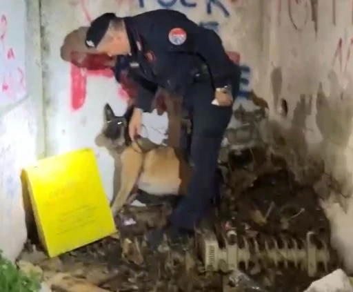 Catanzaro, il fiuto di Batik scova droga nel parco “Mater Domini” 