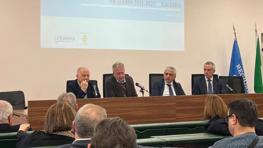 Regione, insediamento del Tavolo azzurro: strategie per il futuro della pesca calabrese images Regione, insediamento del Tavolo azzurro: strategie per il futuro della pesca calabrese