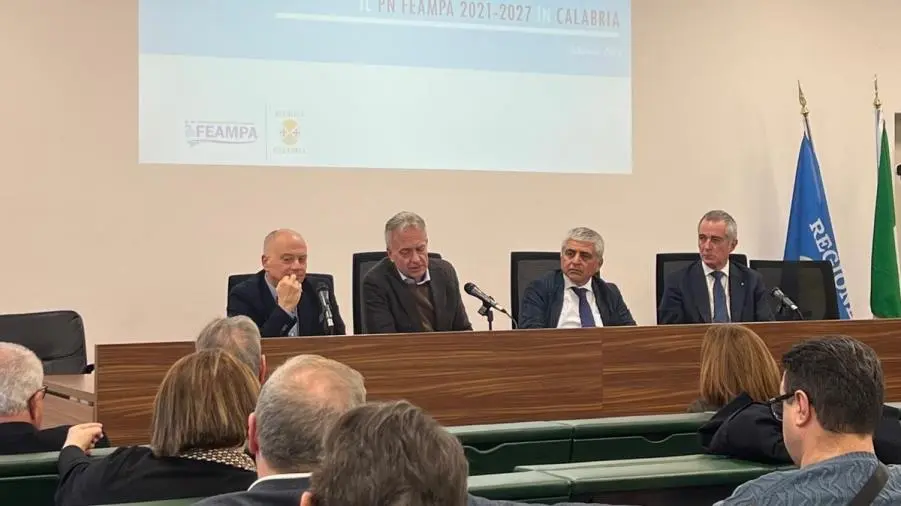 Regione, insediamento del Tavolo azzurro: strategie per il futuro della pesca calabrese images Regione, insediamento del Tavolo azzurro: strategie per il futuro della pesca calabrese
