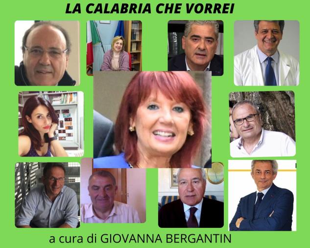 LA CALABRIA CHE VORREI. Idee e proposte di professionisti e imprenditori, studenti e docenti per vivere meglio nella nostra terra