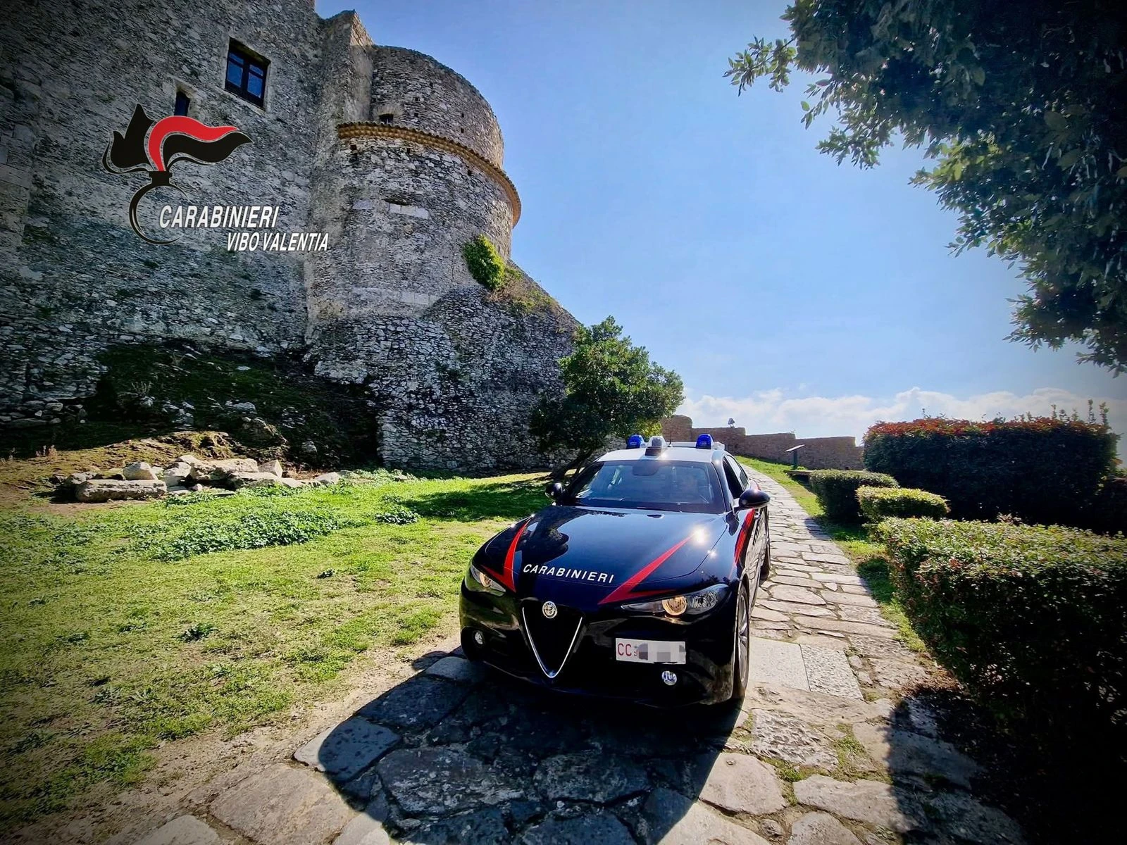 Controlli sul territorio Vibonese dei carabinieri, il bilancio della settimana 