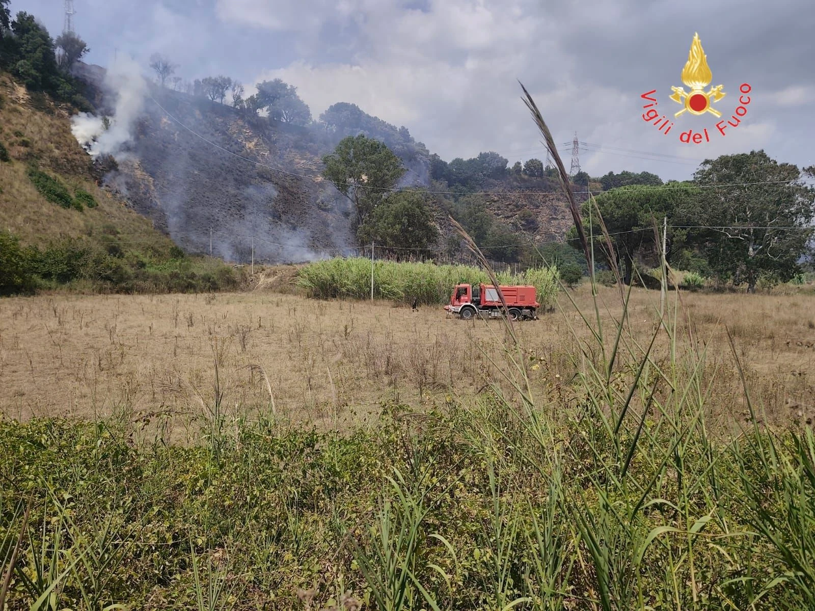 ​Incendio boschivo a Pianopoli: domato dalle squadre di terra e dal mezzo aereo. Area messa in sicurezza
