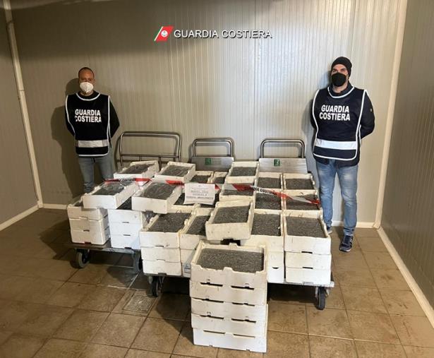 Corigliano-Rossano, 4 quintali di 'bianchetto' sequestrati e multe da 35 mila euro images Corigliano-Rossano, 4 quintali di 'bianchetto' sequestrati e multe da 35 mila euro