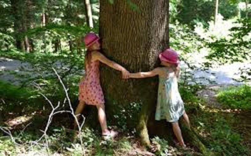 images Lamezia Terme. Anche a Savutano saranno piantati gli "Alberi per il futuro"