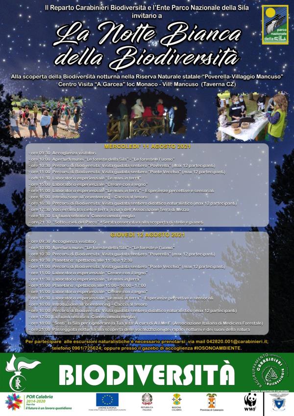 images La "Notte Bianca della Biodiversità" in Sila promossa dai Carabinieri di Catanzaro