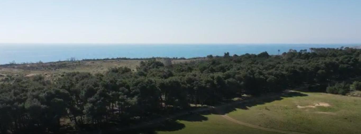 images Isola Capo Rizzuto. Nasce SoSovereto, il coordinamento per salvare la Pineta di Sovereto