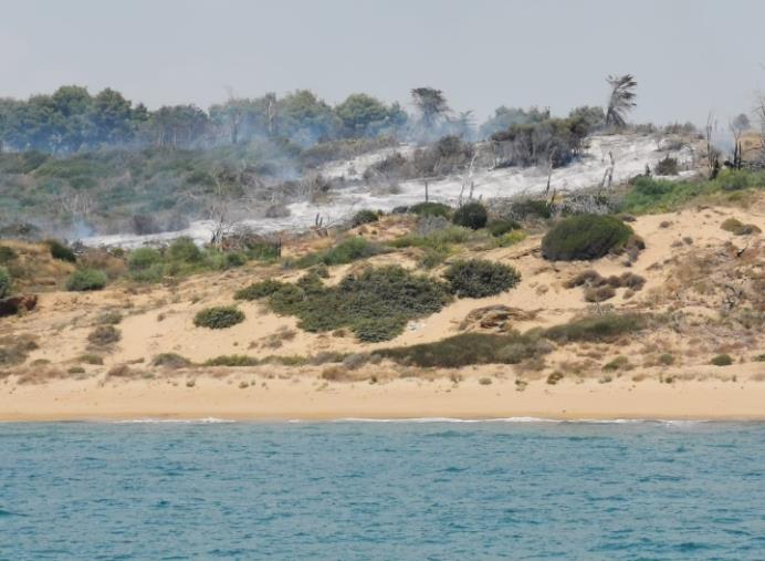 images Incendi, Legambiente Calabria: "Basta con  l'emergenza infinita, occorre fare chiarezza sulle responsabilità"