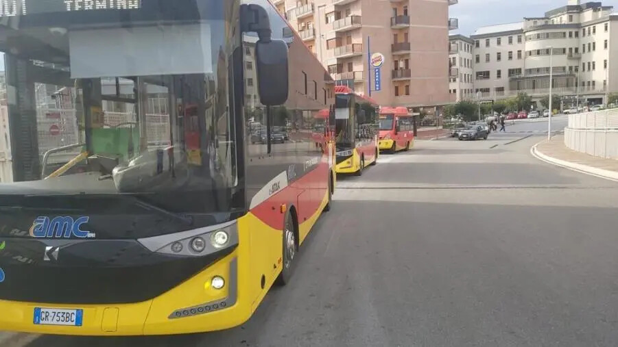 images 8 Marzo a Catanzaro, bus gratuiti per le donne: il plauso delle assessore