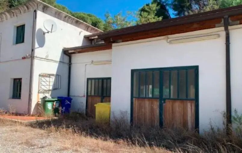 images Tragedia a Catanzaro, processo d'Appello da rifare per uno stalliere