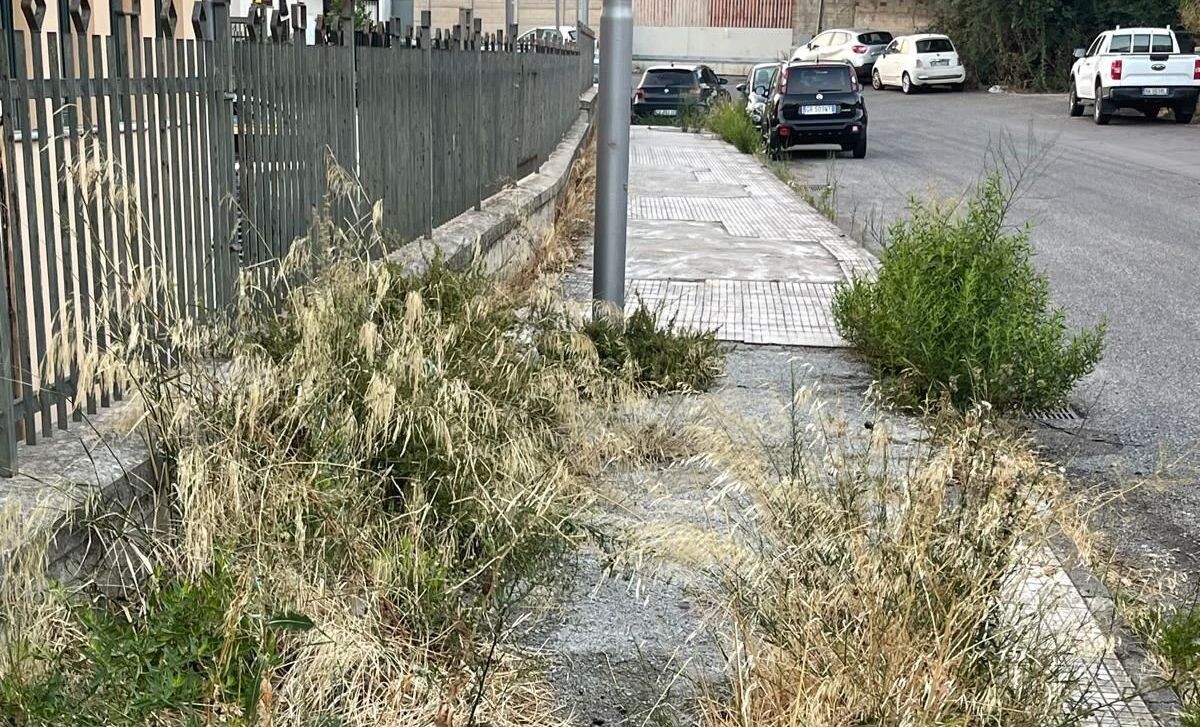 Degrado a Catanzaro, le segnalazioni dei residenti: “Vie e quartieri abbandonati” images Degrado a Catanzaro, le segnalazioni dei residenti: “Vie e quartieri abbandonati”